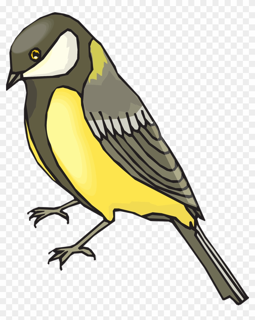 Goldfinch Clipart #882781