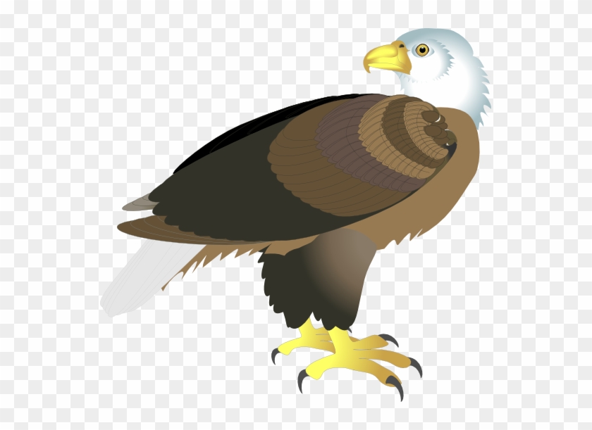 Eagle Clipart Side View - Eagle #882860