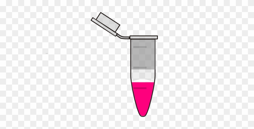 Cytoplasm Clipart - Cytoplasm Clipart #883134