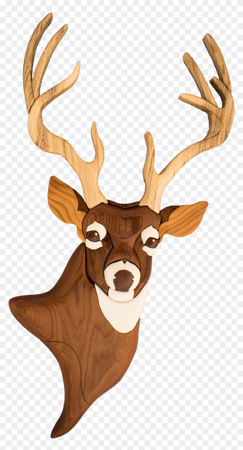 Deer #883202