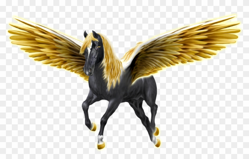 Http - //www - Elftown - Com/stuff/ecm - Black And Gold Pegasus #883495