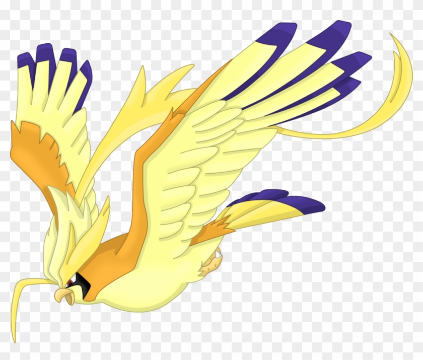 Golde Birb - Shiny Pidgeot #883627