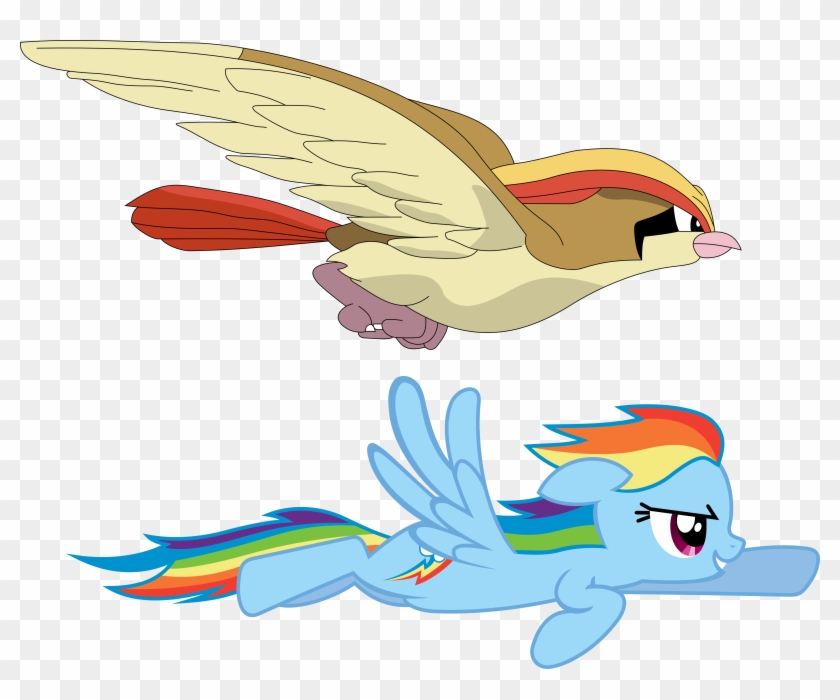 Rainbow Dash And Pidgeot By Shirorinku - Rainbow Dash #883634