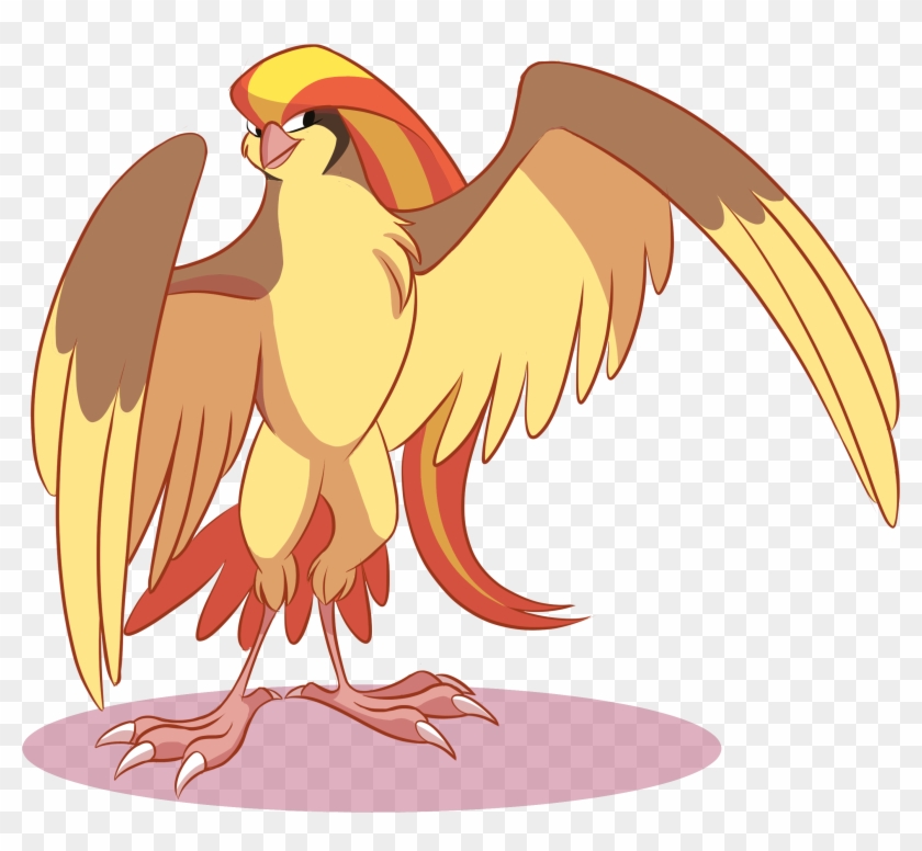 Pidgeot - Pidgeot #883660