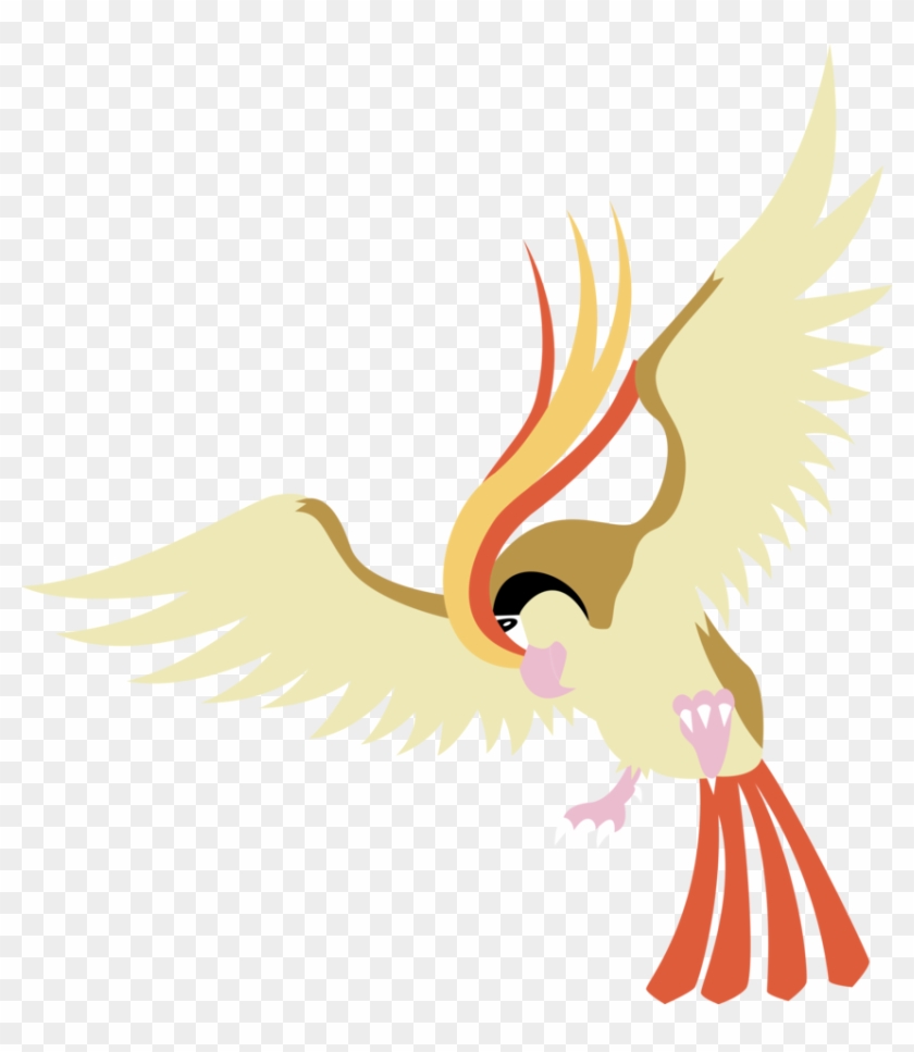 Pidgeot Vector By Chelagirl - Pidgeot #883670