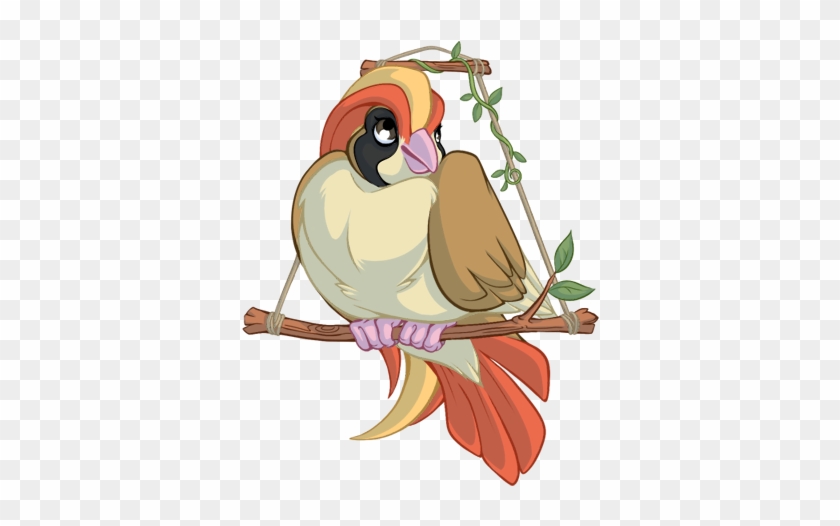Cute Pokemon Pidgeot Images - Cartoon #883701
