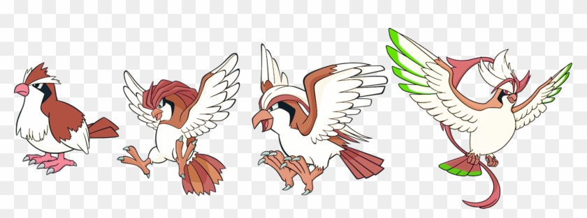 Pidgey, Pidgeotto, Pidgeot By High Jump - Pidgeot #883754
