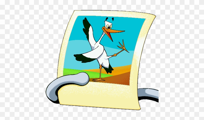 Stork Picture - Stork Picture #883917