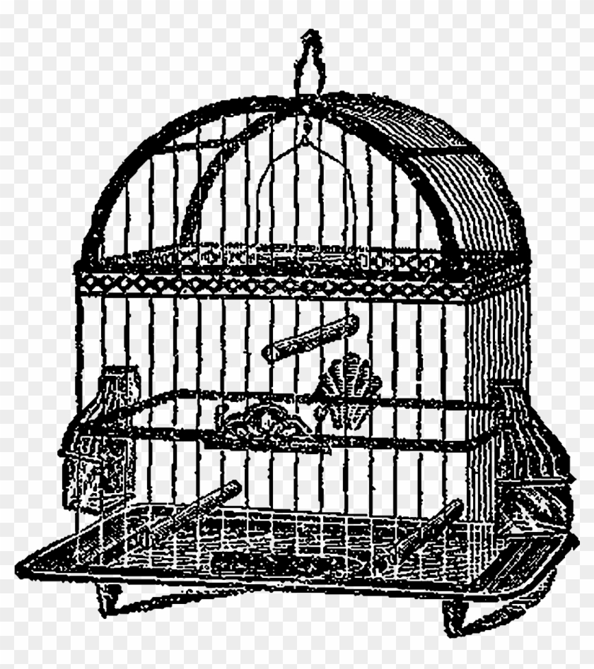 Birdcage Bird Clipart Illustration Artwork Digital - Cage #884155