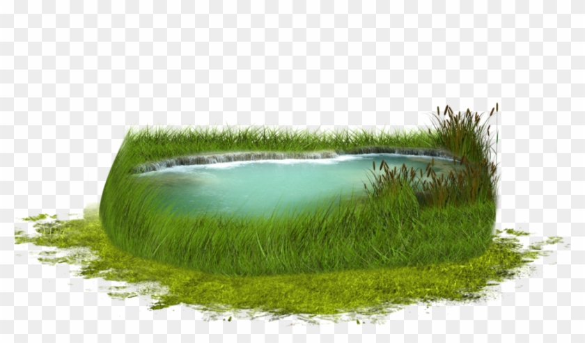 Moonglowlilly 754 230 Png Pond By Moonglowlilly - 草地 3d #884621