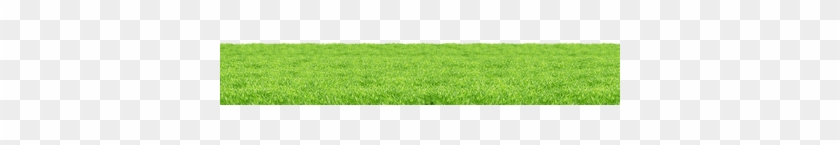 Lawn #884639