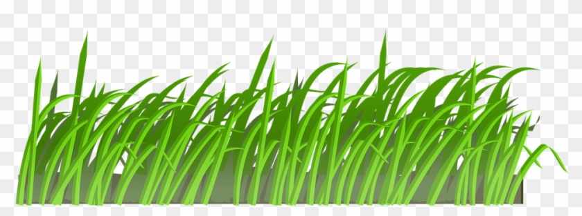 Ground Clipart Grassland - Field Of Grass Shower Curtain #884641