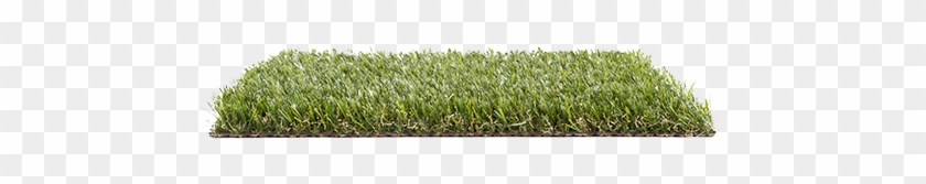 Nature2 Turfgrass Psh - Lawn #884663