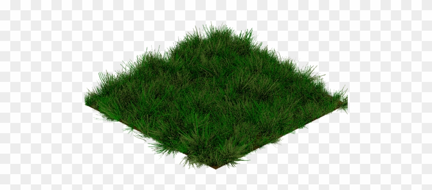 Grassland4-drag0dot5 - Lawn #884667