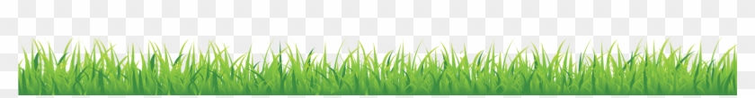 Grass #884682