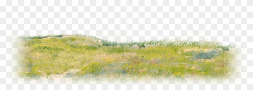 Market Revolution - Paint Grass Png #884693