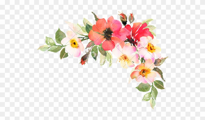 Bohemian Flower Cliparts - Transparent Watercolor Roses Red #884719