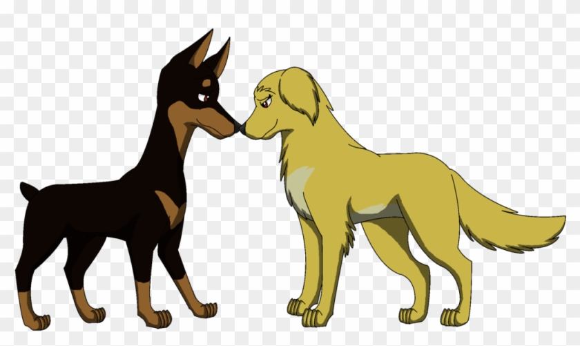 Bellaxarrow By Dragondogfilmsg Bellaxarrow By Dragondogfilmsg - Survivors By Erin Hunter Couples #886349
