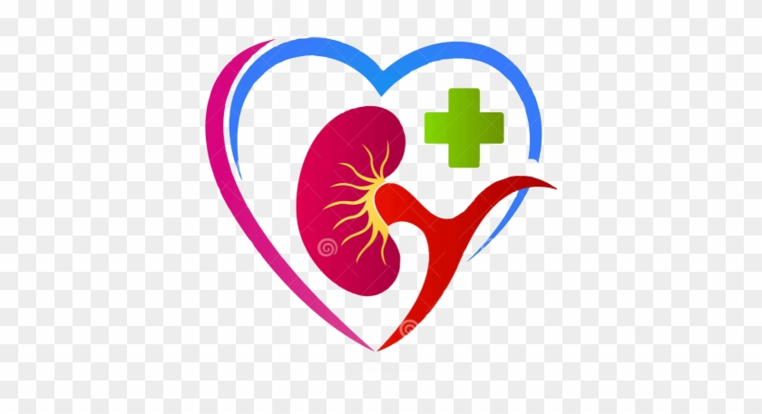 High Creatinine Level Is A Big Trouble For Kidney Failure - Kidney #887947