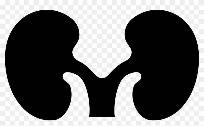Font Kidney Comments - Font Kidney Comments #888009