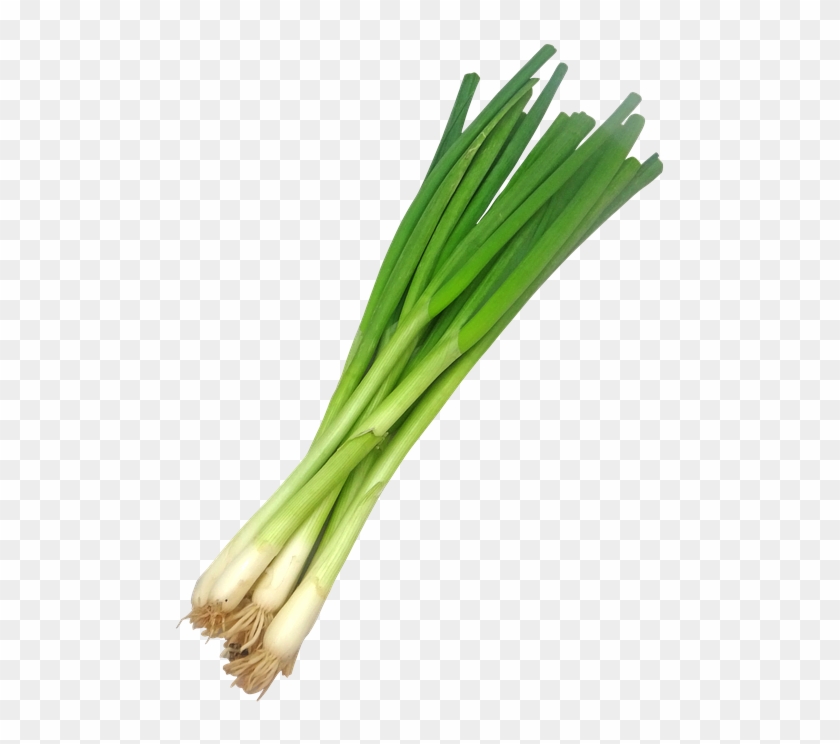 Spring Onion / ต้นหอม - Spring Onion Png #891639