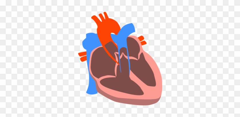 Heart - Heart #891818