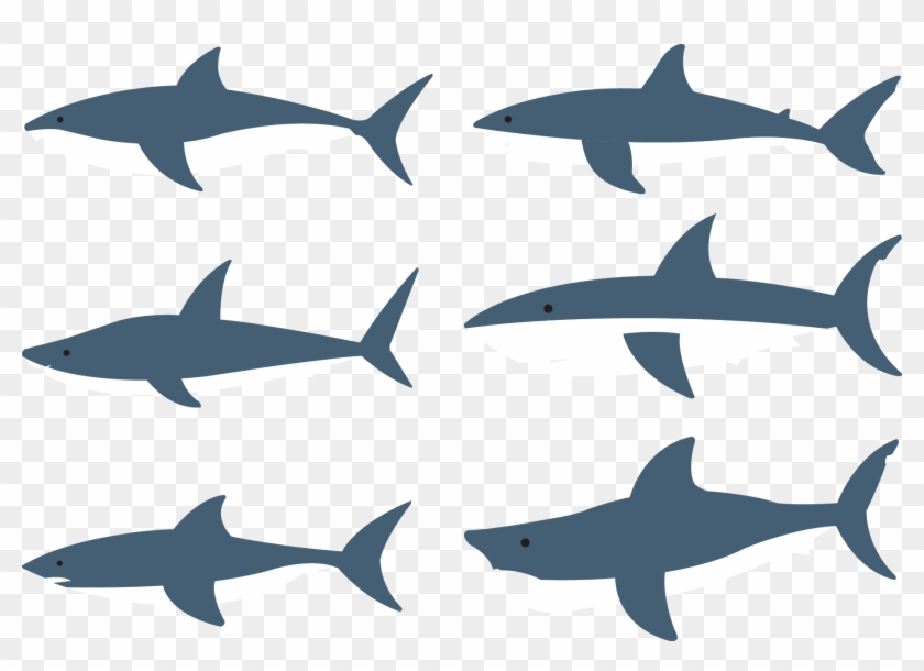 Shark Fish Clip Art - Clip Art #892146