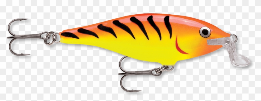 Ht - Rapala Shad Rap 07 Fishing Lures Multi-coloured #892218