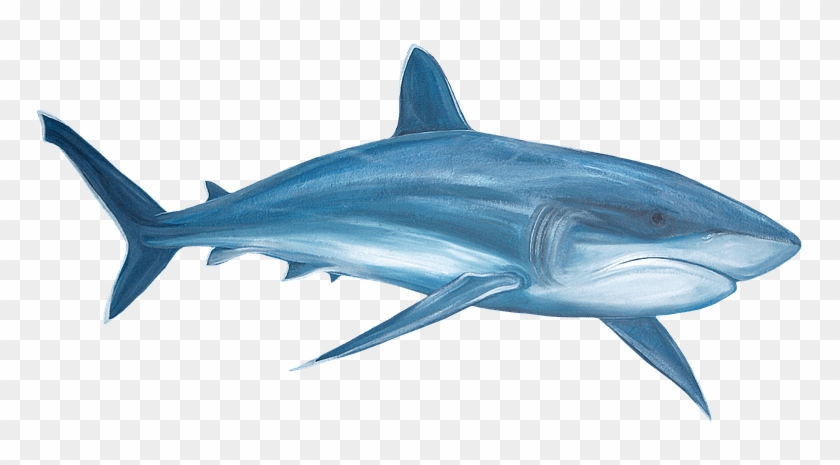 Oa-07 - Png Images Transparent #892229