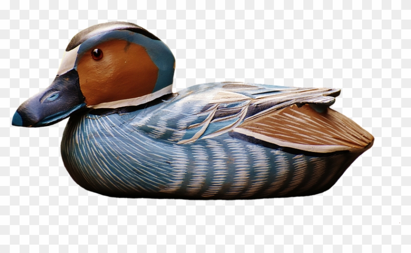 Wood Duck Clipart Duck Decoy - Gräsand Transparent Background #892691