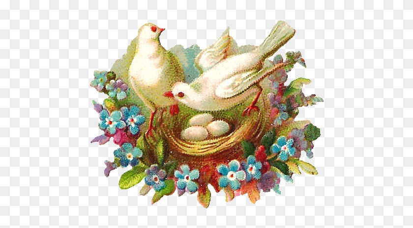 What A Lovely Digital Bird Nest Graphic I'm Continuing - Clip Art #892695