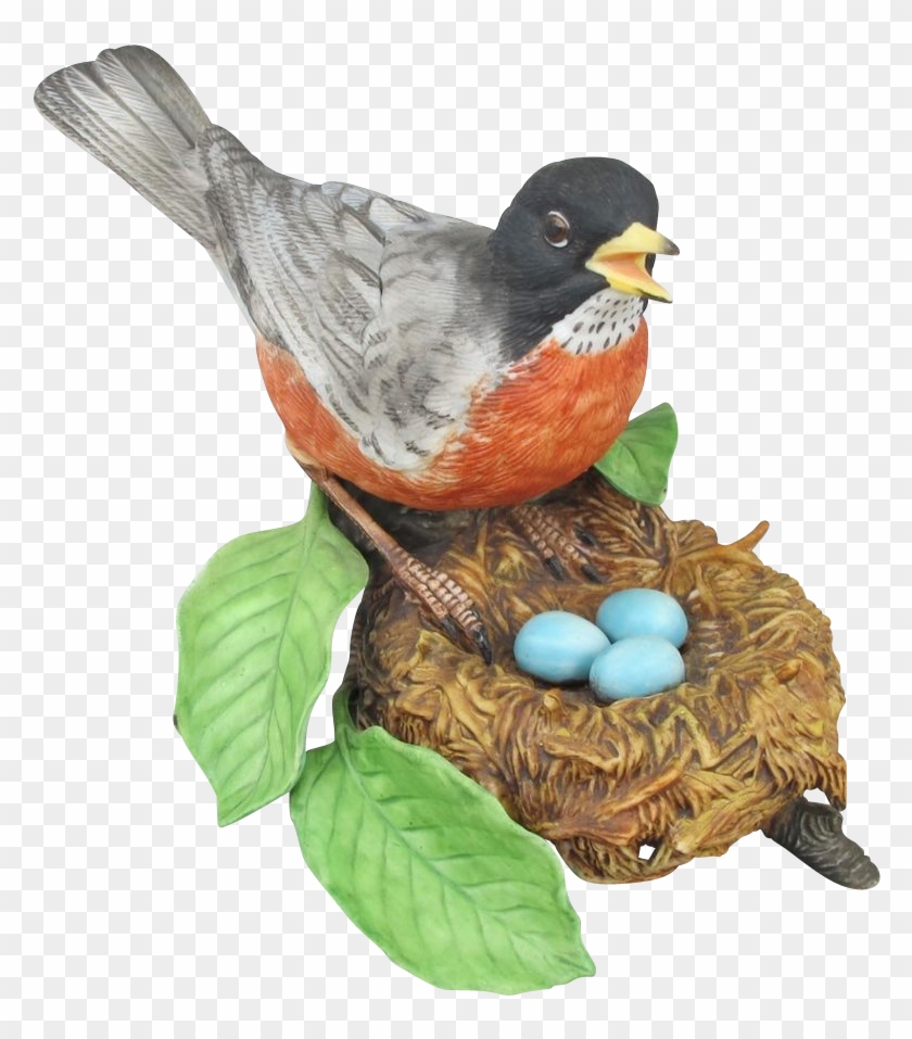 American Robin Transparent Png #892737