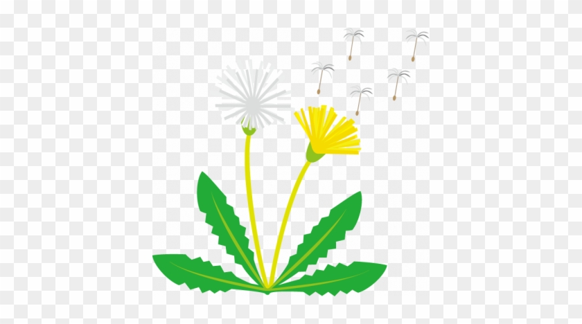 Clip Art #892971