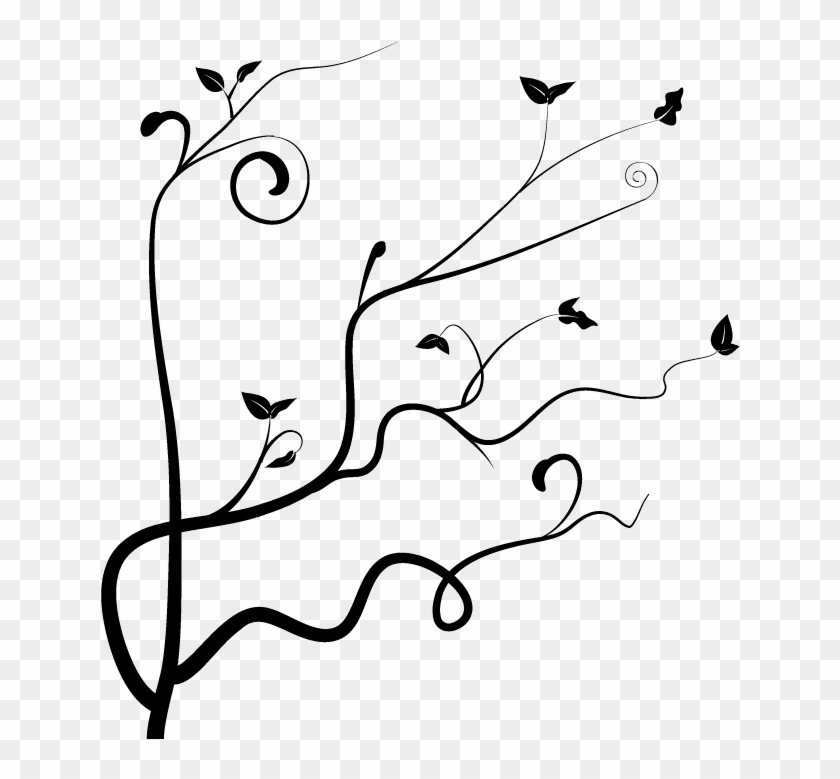 Next Is The Part Where You Can Be Creative, Just Keep - Vines And Branches #893144