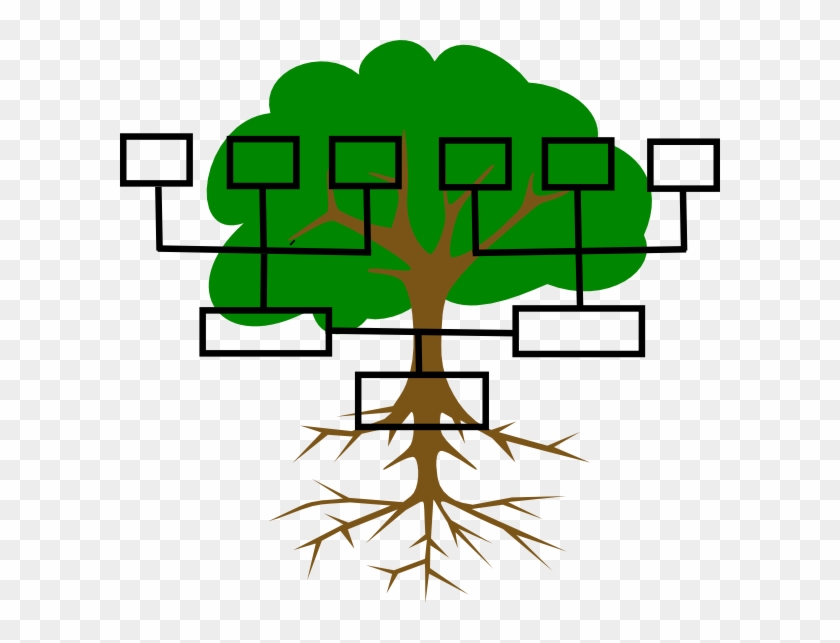 As The Vine Of Christ Grew, His Tendrils Extended To - Family Tree Graphic Organizer #893201