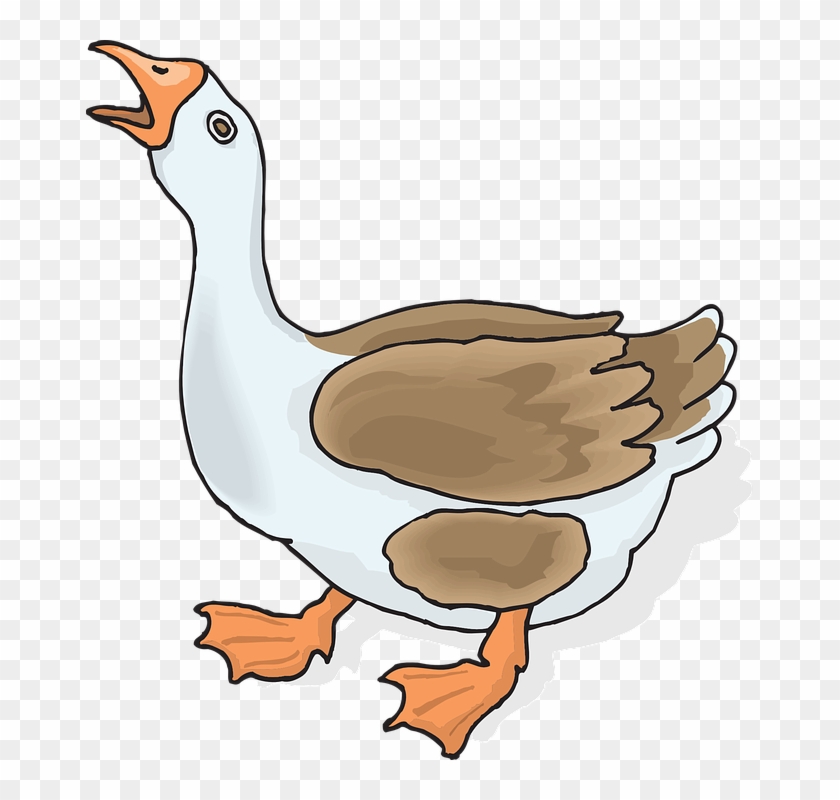 Duck Animal Free Vector Graphic On Pixabay - Gambar Hewan Berkaki 2 #893255