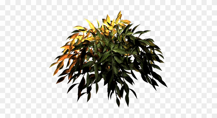 Planta2 - Psd #893534