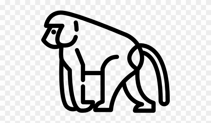 Baboon Free Icon - Baboon Free Icon #893766
