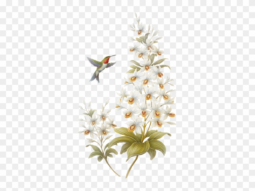 Flores Delicadas Beija Flor - Bonne Fete Des Meres #894297