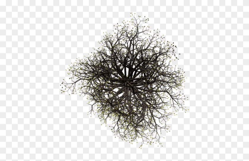 Here Is A Smaller Version Of A Late-fall Tree - Circle #894340