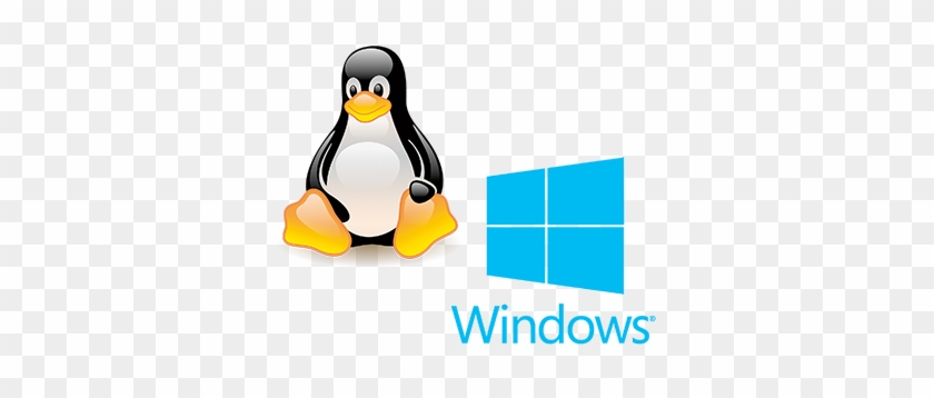Cheap Website Hosting - Linux Training #895110