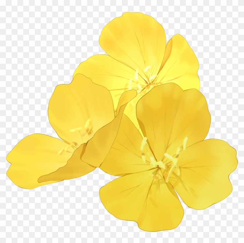 Eschscholzia Californica #895306