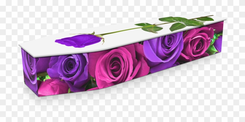 Expression Cofins - Rose #895633