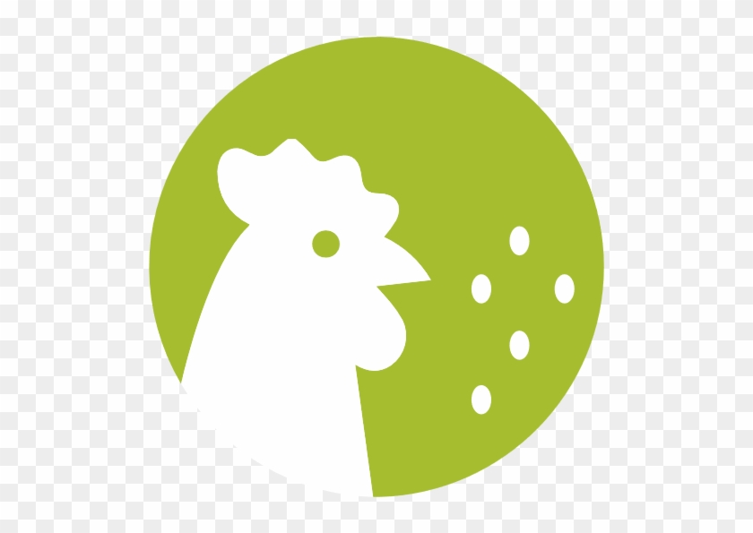 Animal Feed - Circle #896149