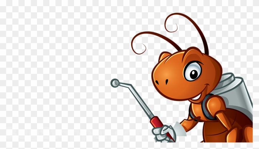 860 - Ant #896655