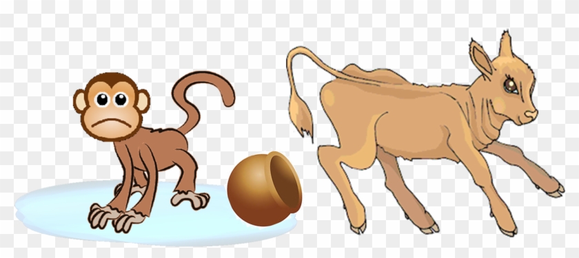 Monkey #897829