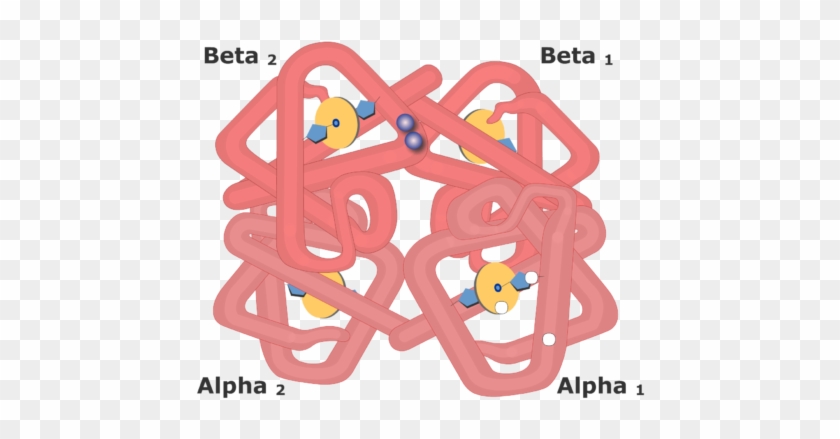 This Change In Shape Makes It Easier For Additional - Hemoglobin Molecule #897951