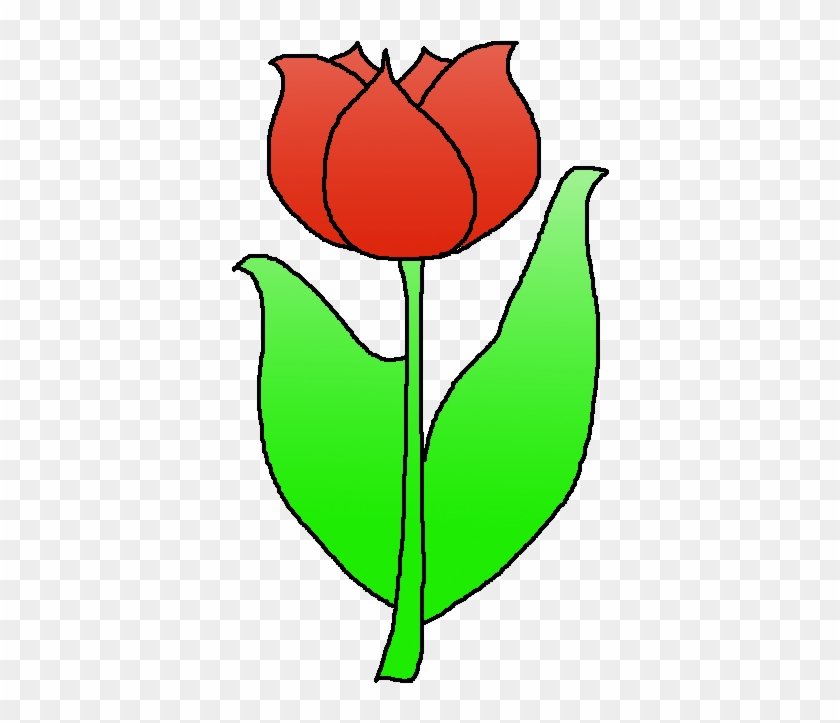 Download The Files Here - Lady Tulip #898282