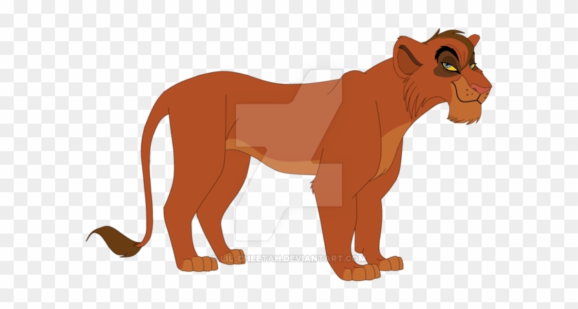 Masai Lion #898642