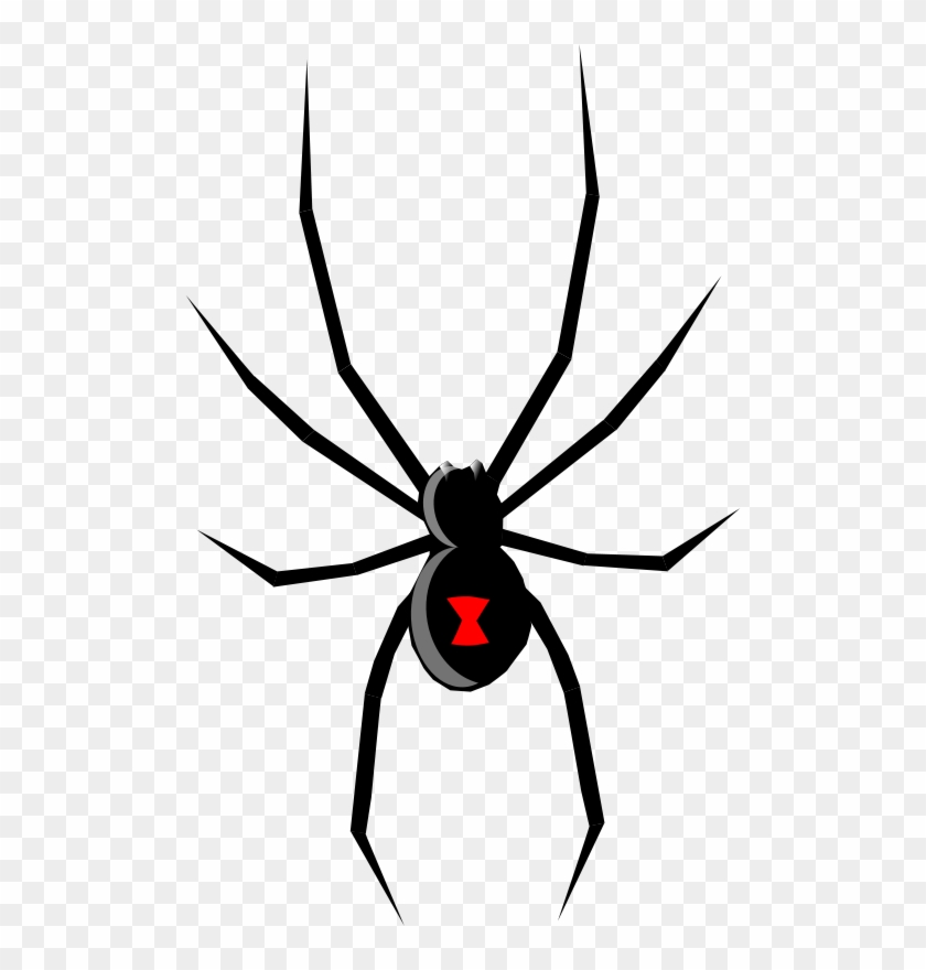 Space, Iss, Space Station - Black Widow Spider Drawing #899872